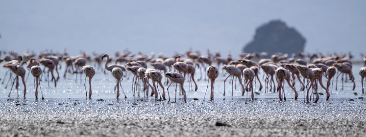 0245-tanzanie-2022.jpg
