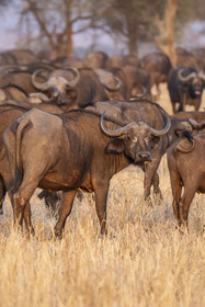 0004-tanzanie-2022.jpg