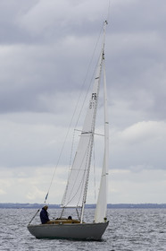 269.jpg