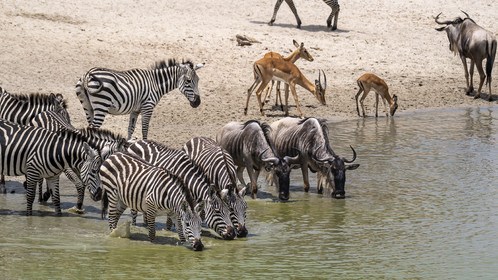 0038-tanzanie-2022.jpg