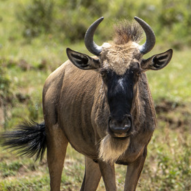 0208-tanzanie-2022.jpg