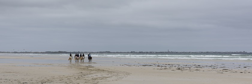008-chevaux-a-tronoen.jpg