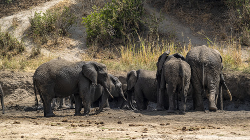 0025-tanzanie-2022.jpg