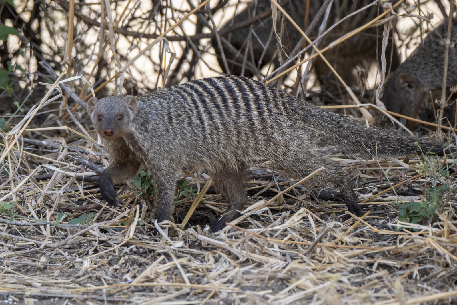 0030-tanzanie-2022.jpg