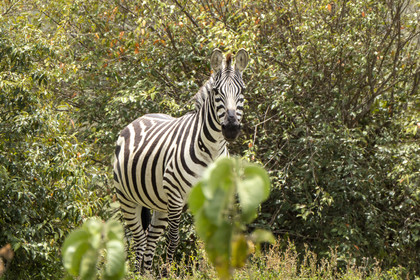 0201-tanzanie-2022.jpg
