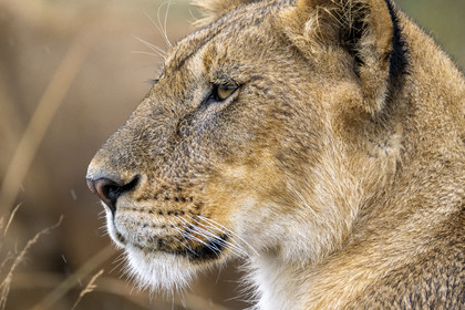 0164-tanzanie-2022.jpg