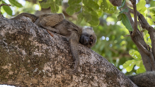 0020-tanzanie-2022.jpg