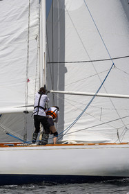 1566-21062025.jpg