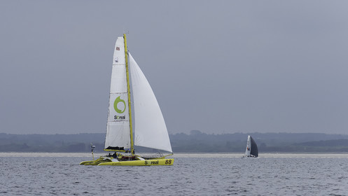34-multyco-2016.jpg