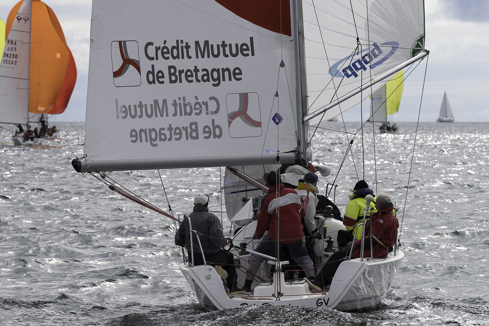 244-spi-2017.jpg