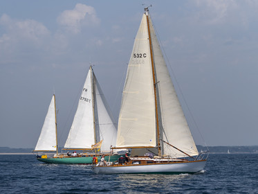 446-20062025.jpg