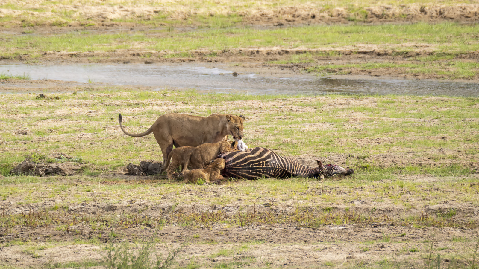 0010-tanzanie-2022.jpg