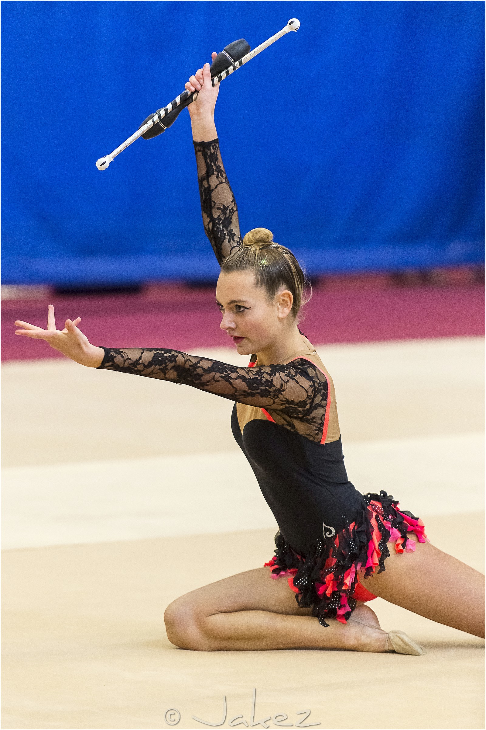 R1-012-53-MICHARD Coraline