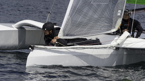 88-multyco-2016.jpg