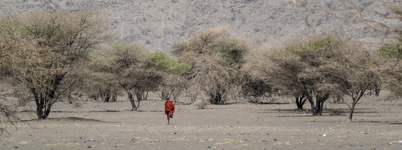 0227-tanzanie-2022.jpg