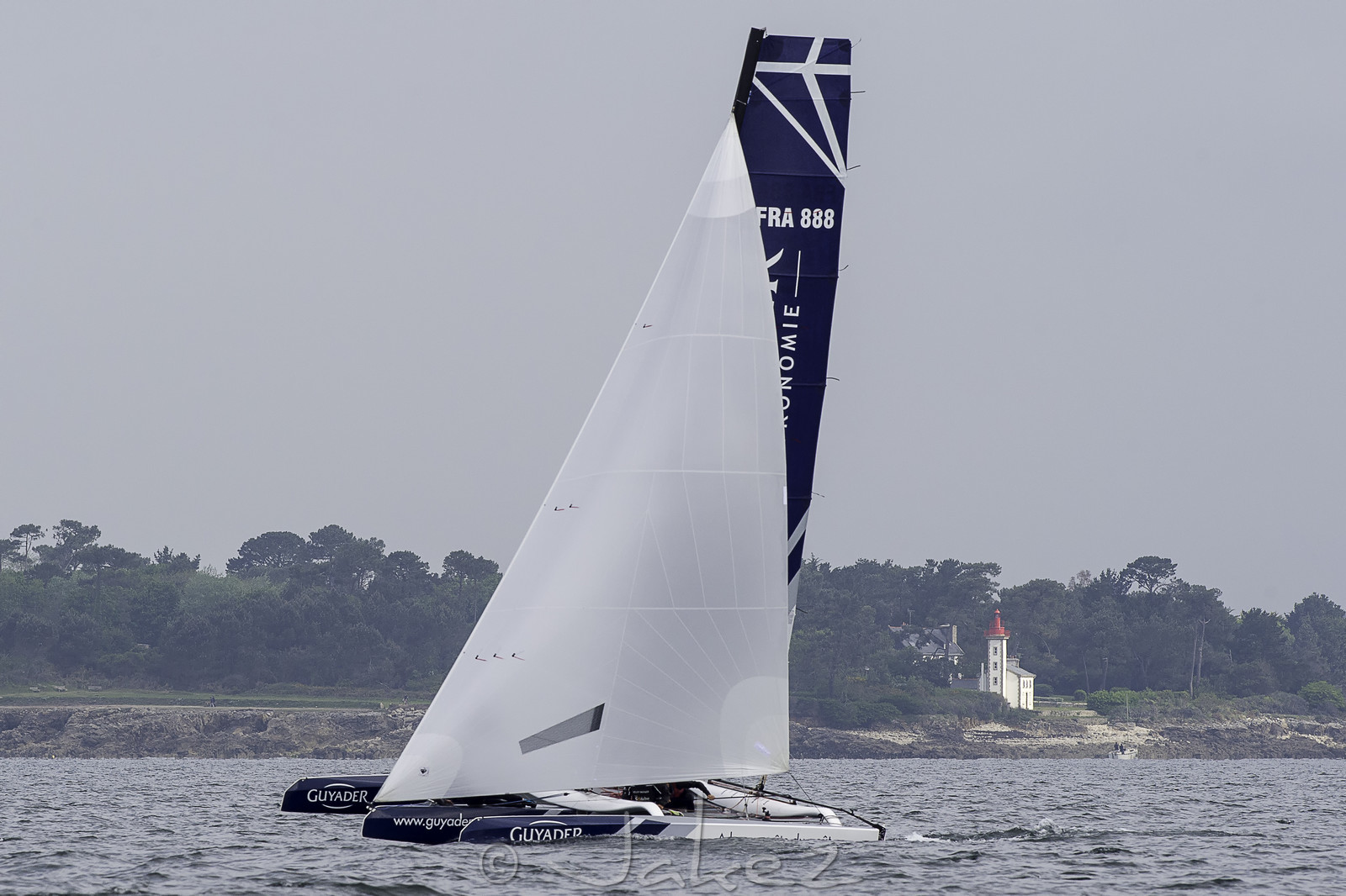 16-multyco-2016.jpg