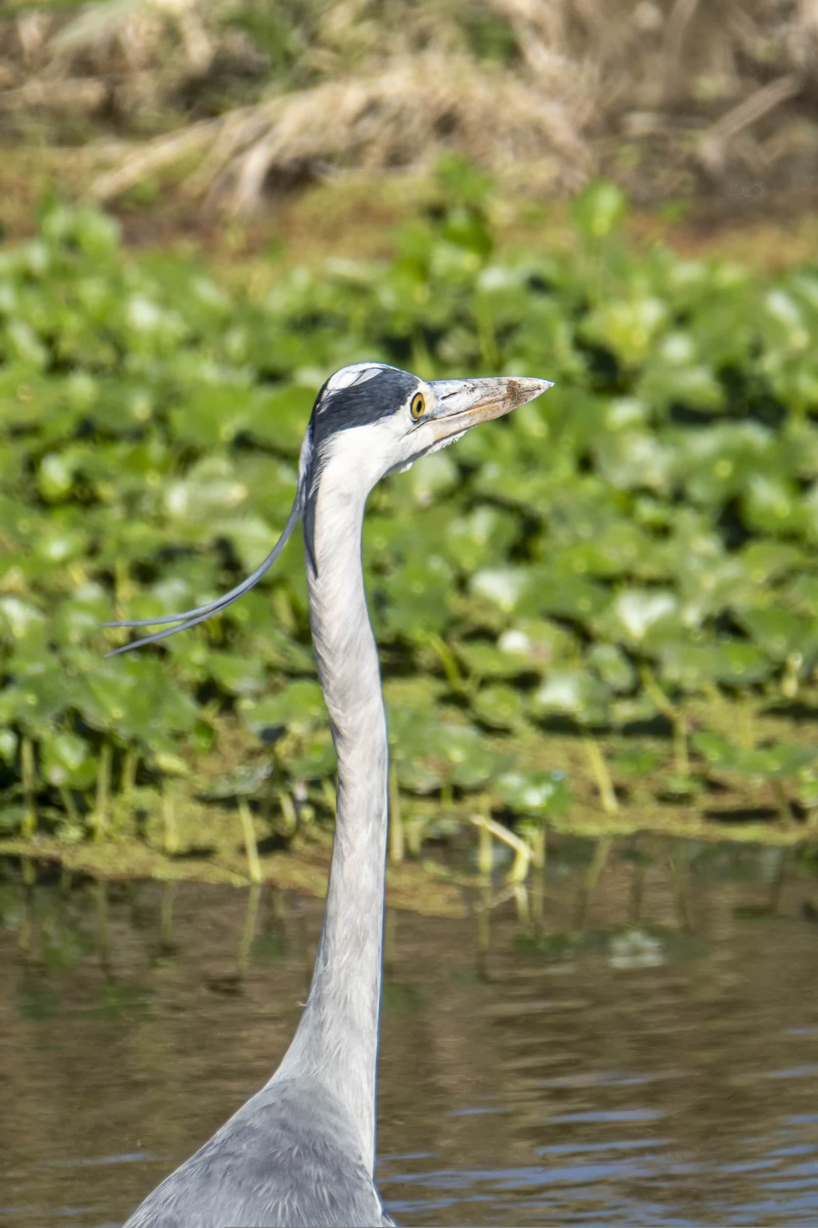 0057-tanzanie-2022.jpg