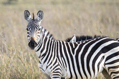0254-tanzanie-2022.jpg
