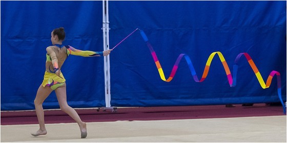 R4-04-31-FRESNEL Lisa