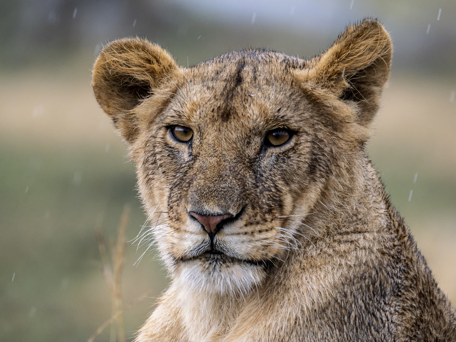 0169-tanzanie-2022.jpg