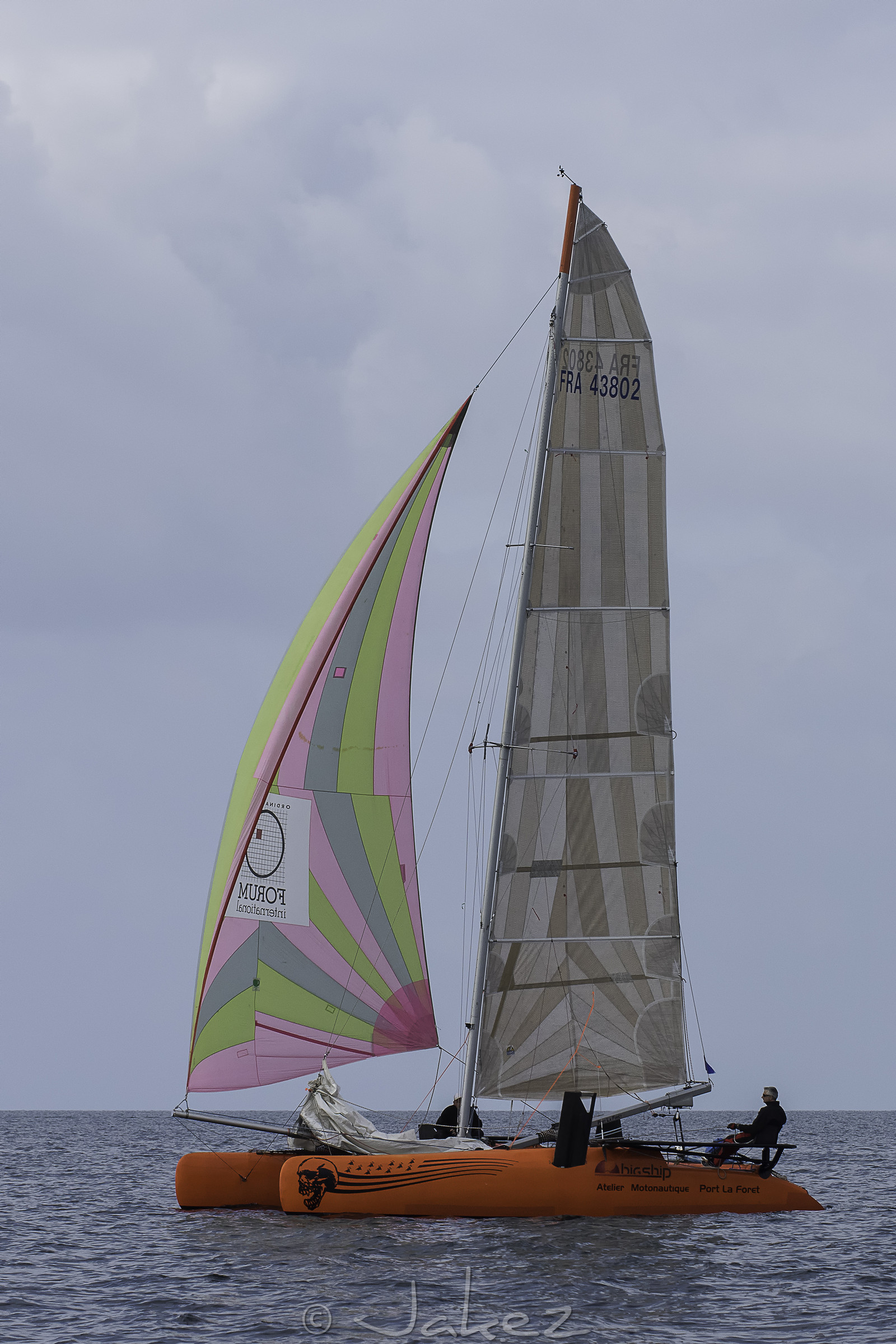 37-multyco-2016.jpg