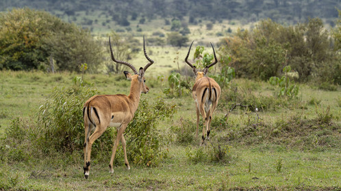 0202-tanzanie-2022.jpg