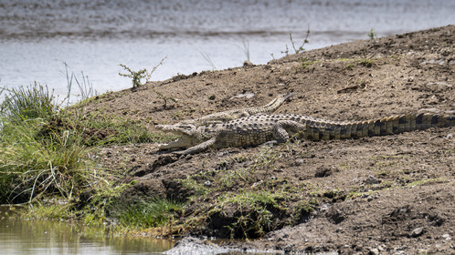 0124-tanzanie-2022.jpg