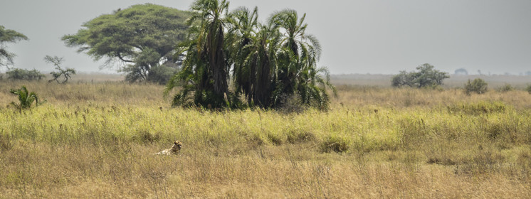 0125-tanzanie-2022.jpg
