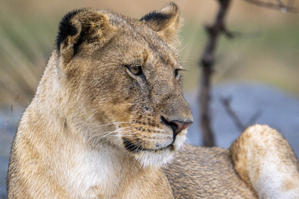 0158-tanzanie-2022.jpg