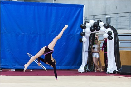 R3-07-14-FAISANT Chloé