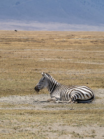 0090-tanzanie-2022.jpg