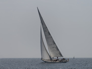 1377-21062025.jpg