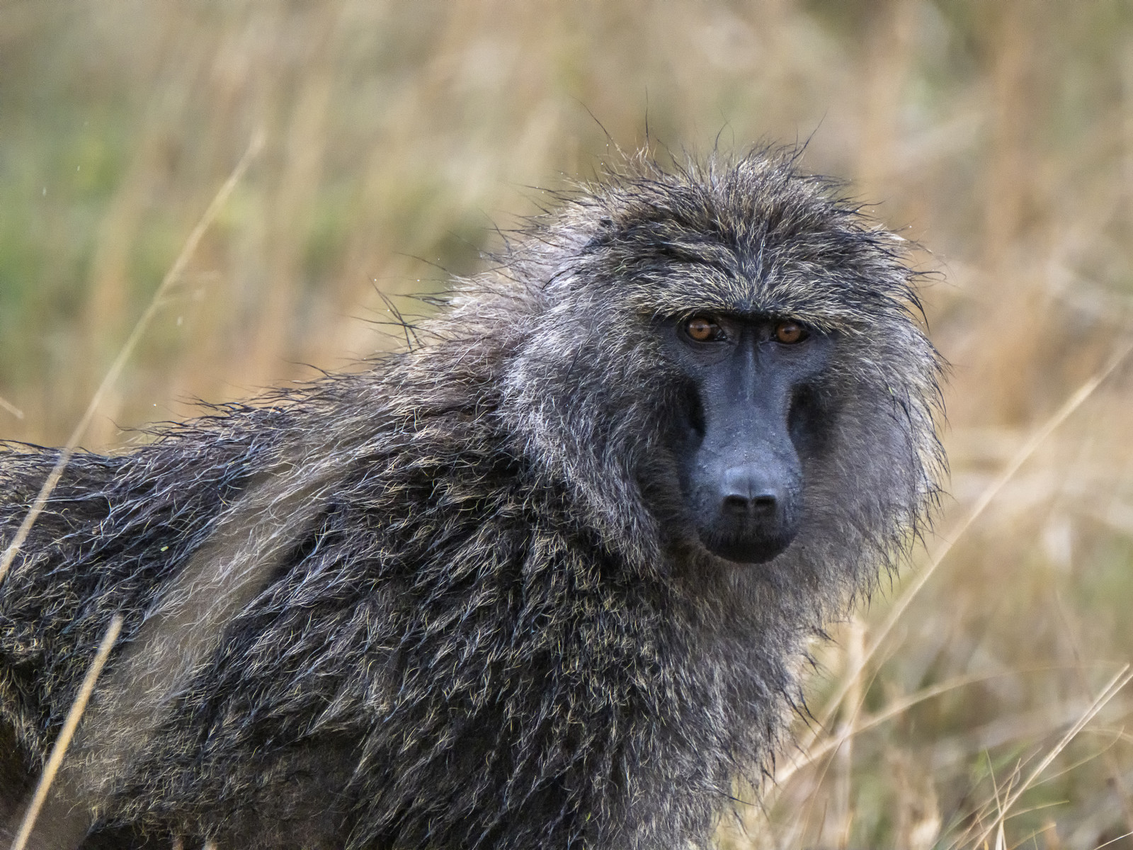 0147-tanzanie-2022.jpg