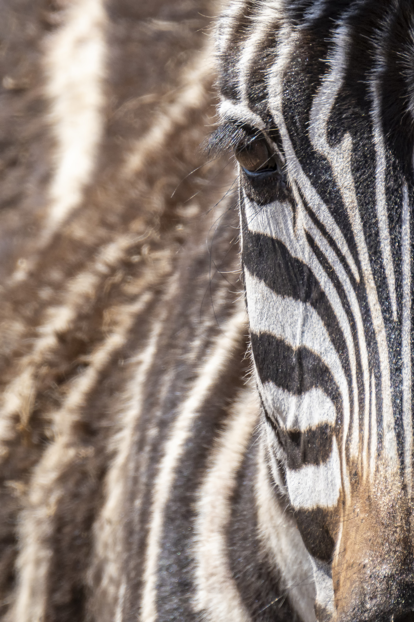 0069-tanzanie-2022.jpg