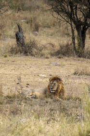 0111-tanzanie-2022.jpg