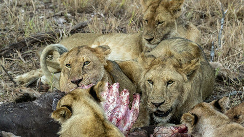 0095-tanzanie-2022.jpg