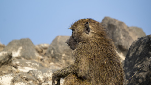 0214-tanzanie-2022.jpg