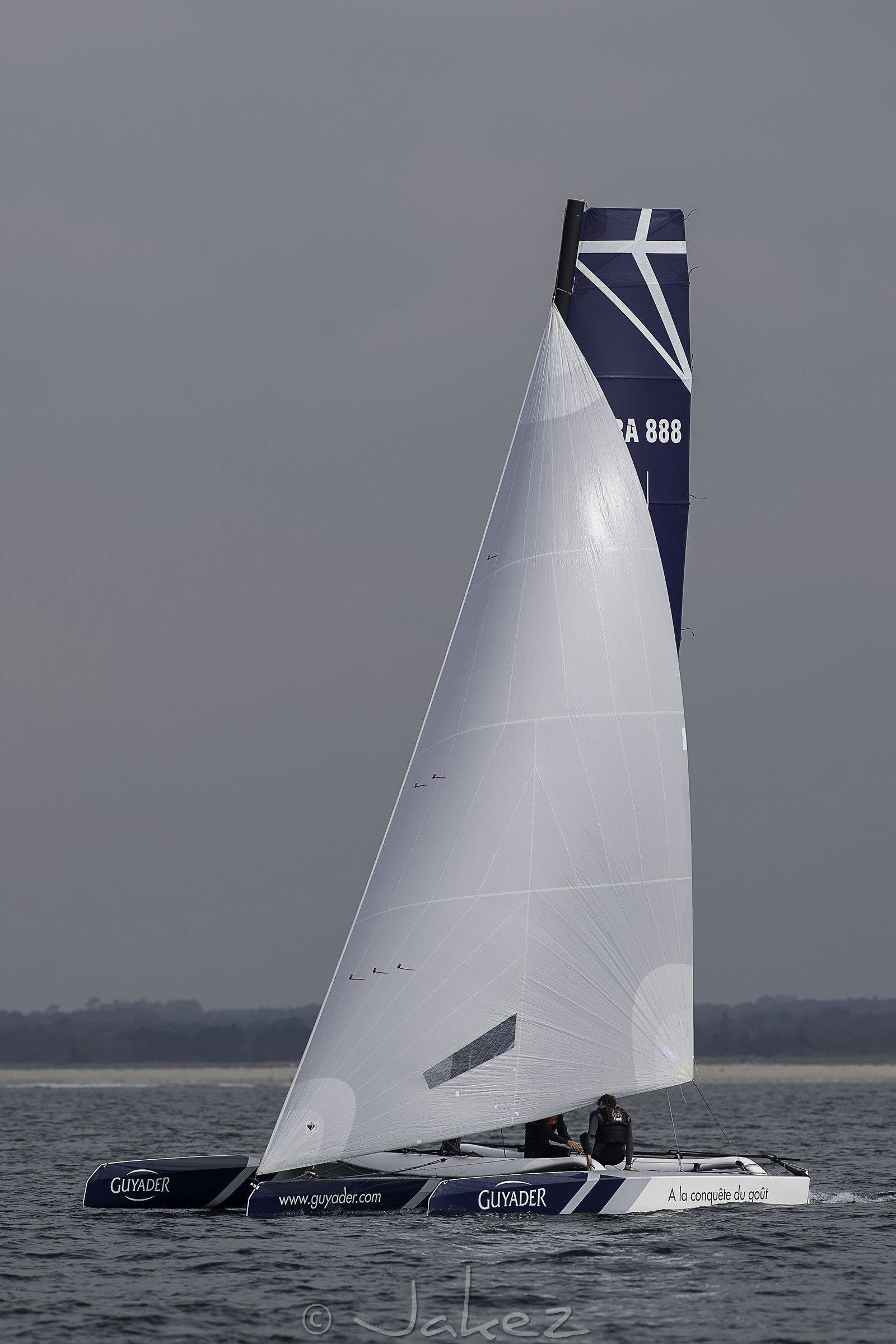 74-multyco-2016.jpg