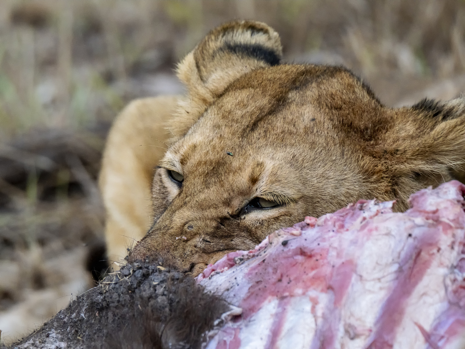 0098-tanzanie-2022.jpg