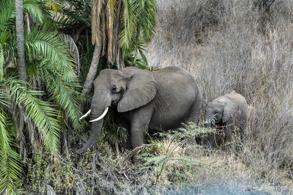 0141-tanzanie-2022.jpg