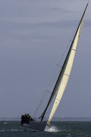 115-snt-2017.jpg