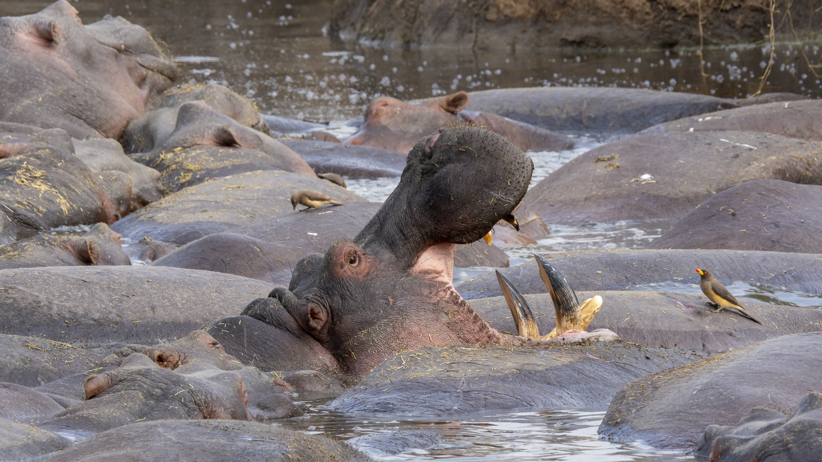 0100-tanzanie-2022.jpg