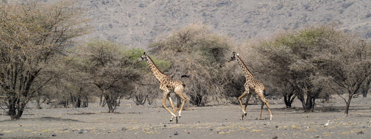 0229-tanzanie-2022.jpg