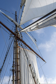33-etoile.jpg