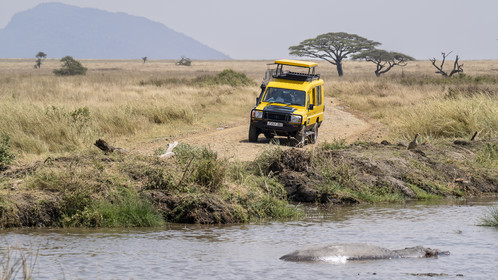 0122-tanzanie-2022.jpg