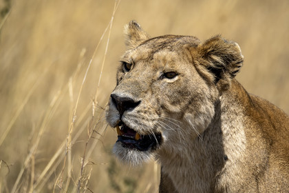 0129-tanzanie-2022.jpg