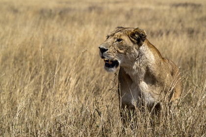 0127-tanzanie-2022.jpg