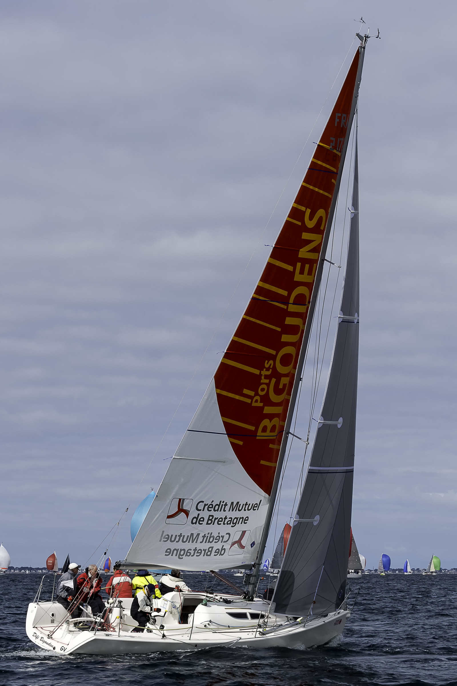 539-spi-2017.jpg