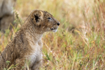 0155-tanzanie-2022.jpg