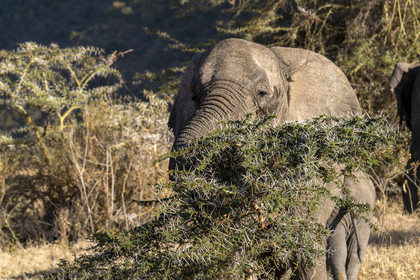 0047-tanzanie-2022.jpg